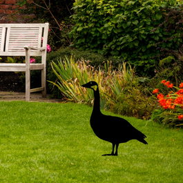 Aberto Design Goose 01 Decoración de Exterior Negro